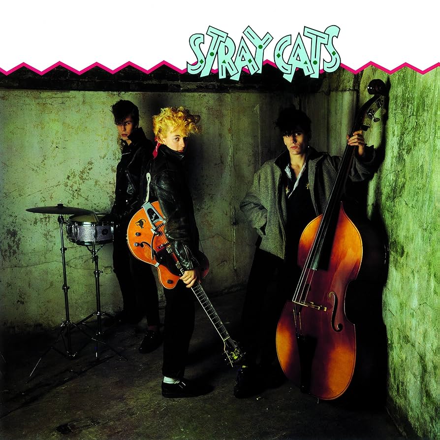 STRAY CATS